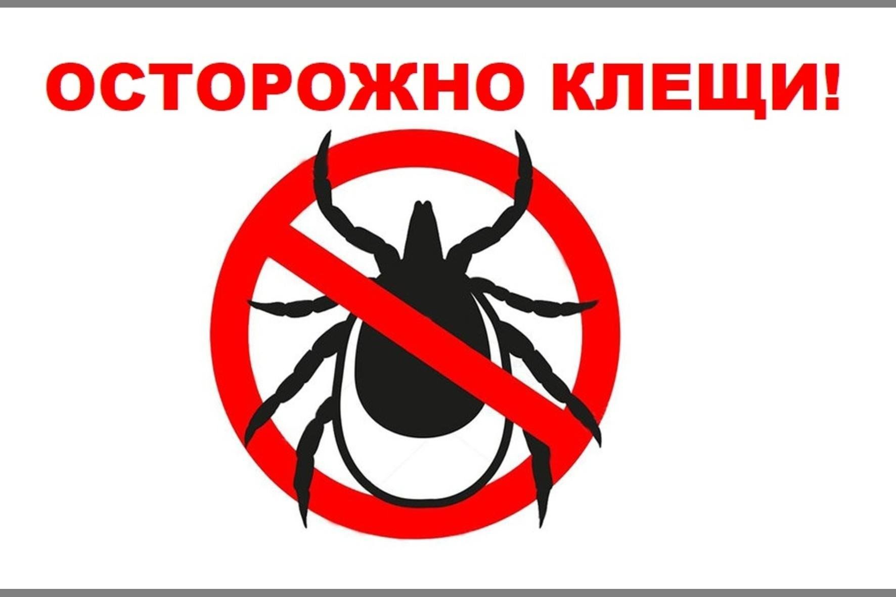Объявление.